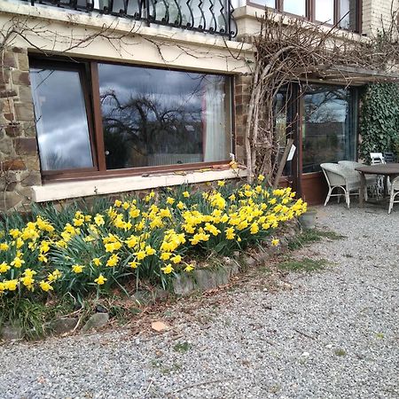 Vila Dinant La Bergeronnette Avec La Chaleur Du Feu De Bois Et Le Jardin Exteriér fotografie