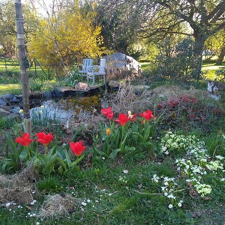 Vila Dinant La Bergeronnette Avec La Chaleur Du Feu De Bois Et Le Jardin Pokoj fotografie
