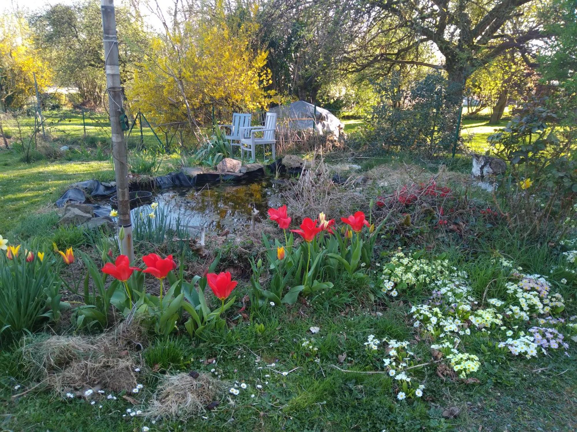 Vila Dinant La Bergeronnette Avec La Chaleur Du Feu De Bois Et Le Jardin Pokoj fotografie