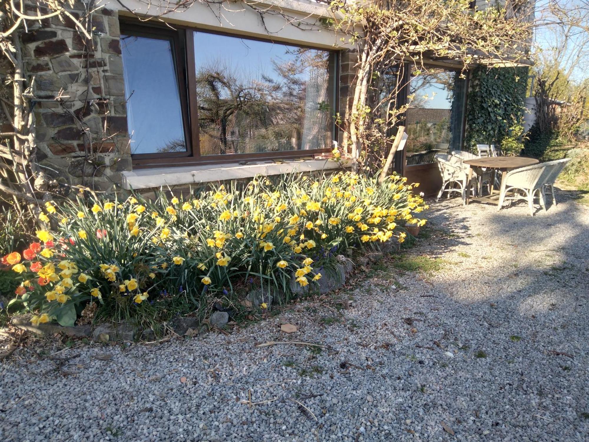 Vila Dinant La Bergeronnette Avec La Chaleur Du Feu De Bois Et Le Jardin Pokoj fotografie